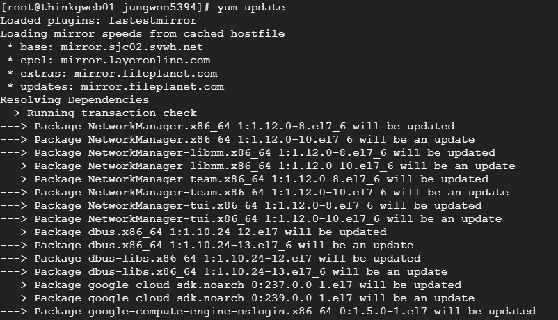 yum update