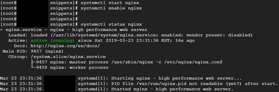 Error clear Nginx